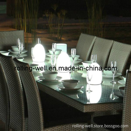 2013 Newest Product LED Magic Ball (RW-2)